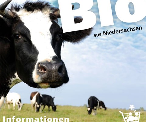 Magazingestaltung: KÖN