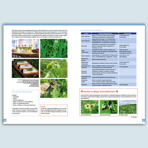 KOEN - Kompetenzzentrum Ökolandbau Niedersachsen