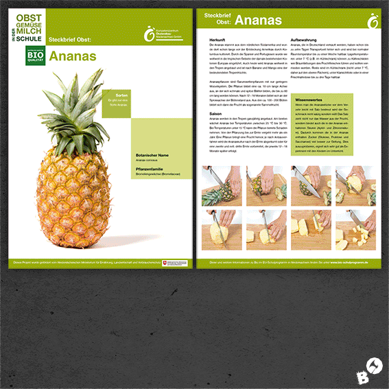 KOEN - Kompetenzzentrum Ökolandbau Niedersachsen