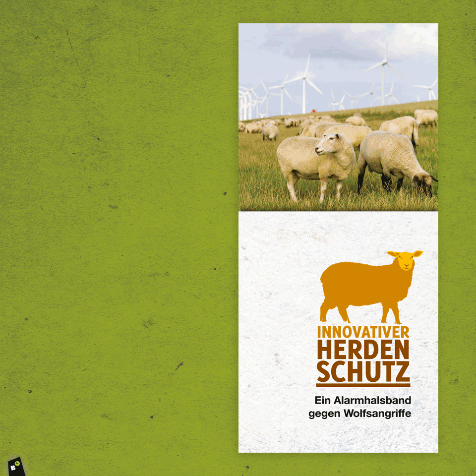 Flyergestaltung: Innovativer Herdenschutz